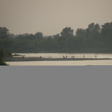 P8028386-016