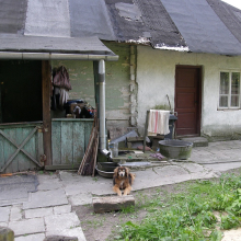 P5310135-009