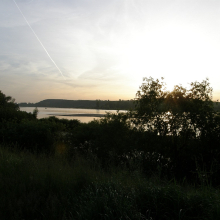 P5310145-011