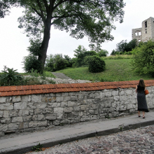 P6200713-017